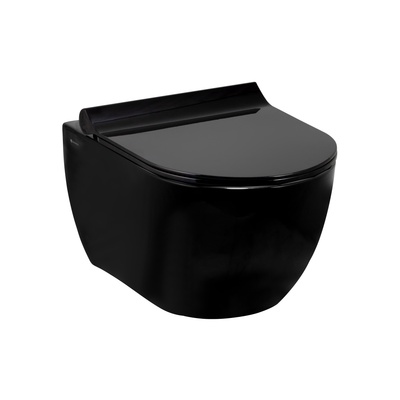 HILL RIM-OUT WALL HUNG WC PAN GLOSSY BLACK