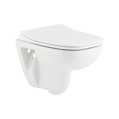 PETITE RIM-OUT WALL HUNG WC PAN